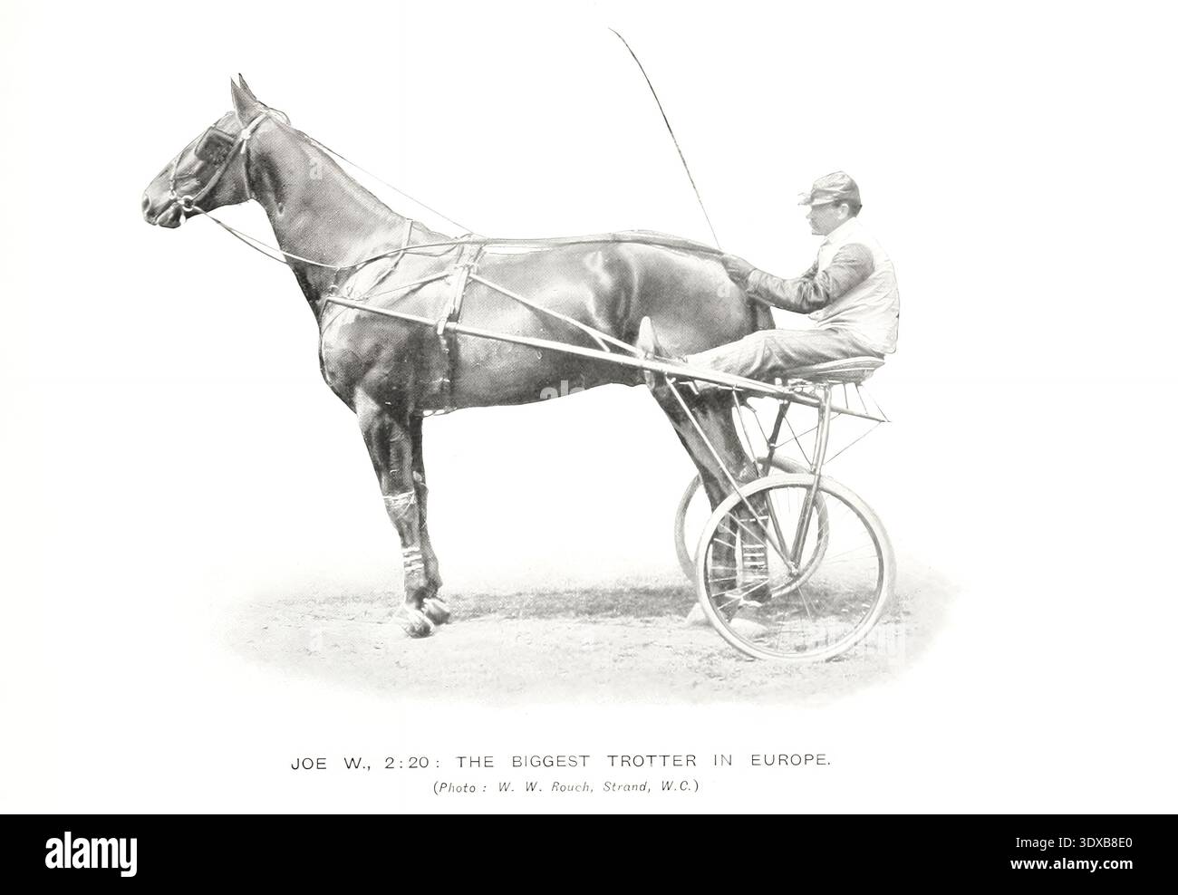 Harness racing history hi-res stock photography and images - Alamy