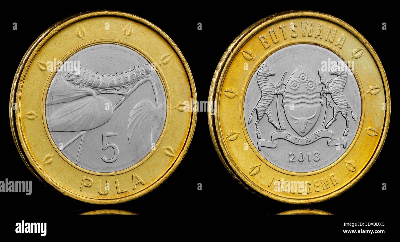 2013 Botswana 5 Pula coin featuring the Botswana Coat Of Arms on the obverse and a Mopane Worm on the reverse Stock Photo