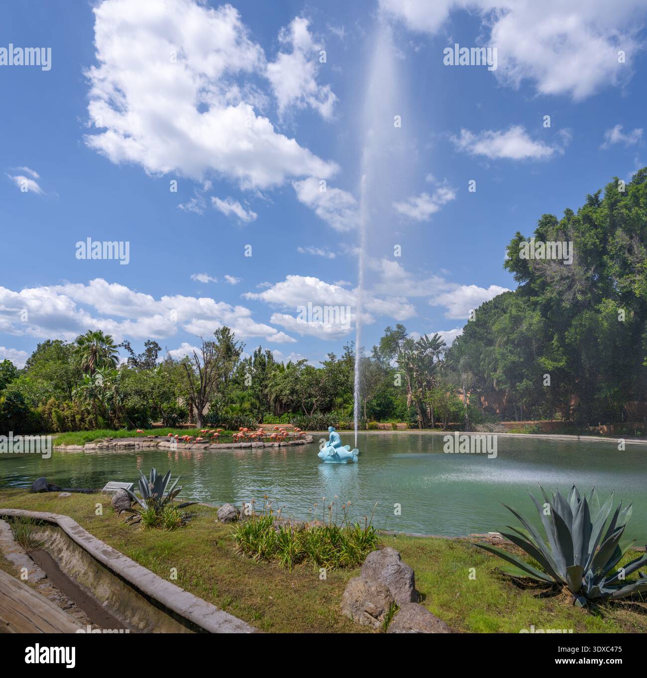 Lake and fountain at Guadalajara Zoo - Guadalajara, Jalisco, Mexico Stock Photo