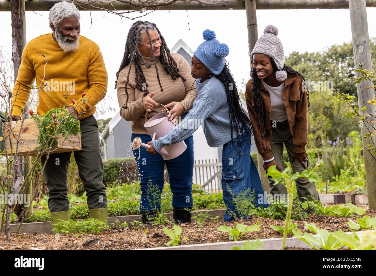 African American family watering plants at bed under pergola holding ...
