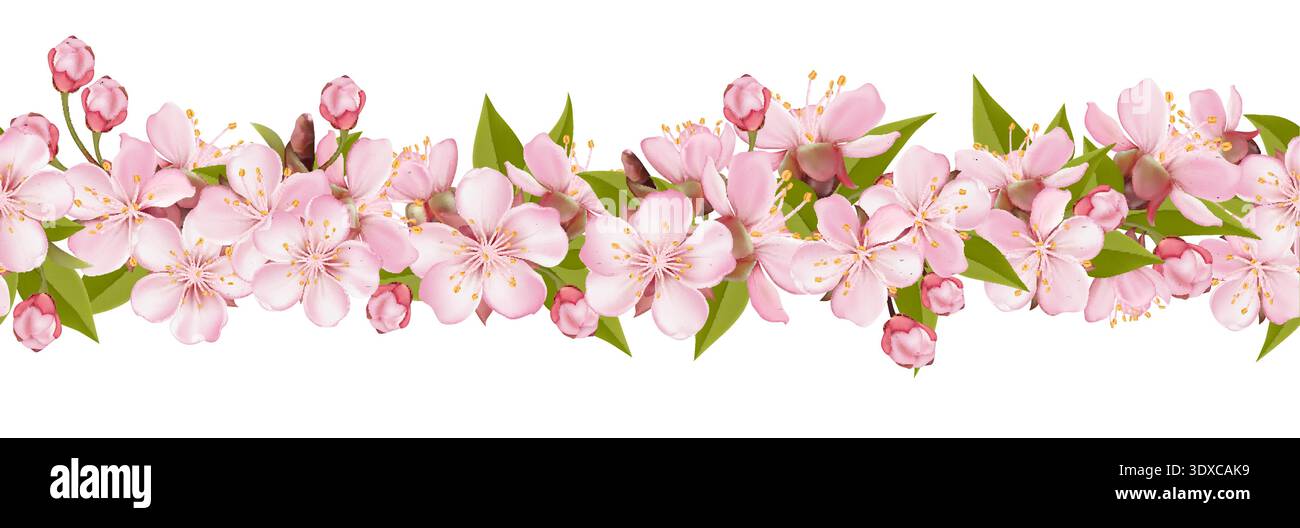 Seamless Sakura Blossom Floral Border Stock Vector