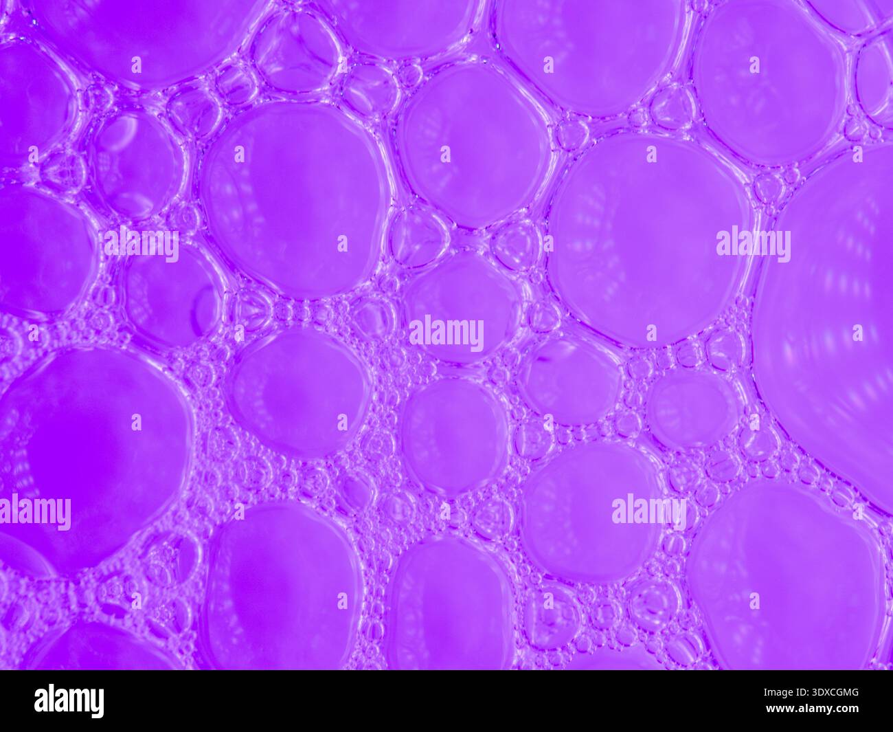 Vibrant purple bubbles float, clustered, overlapping Stock Photo