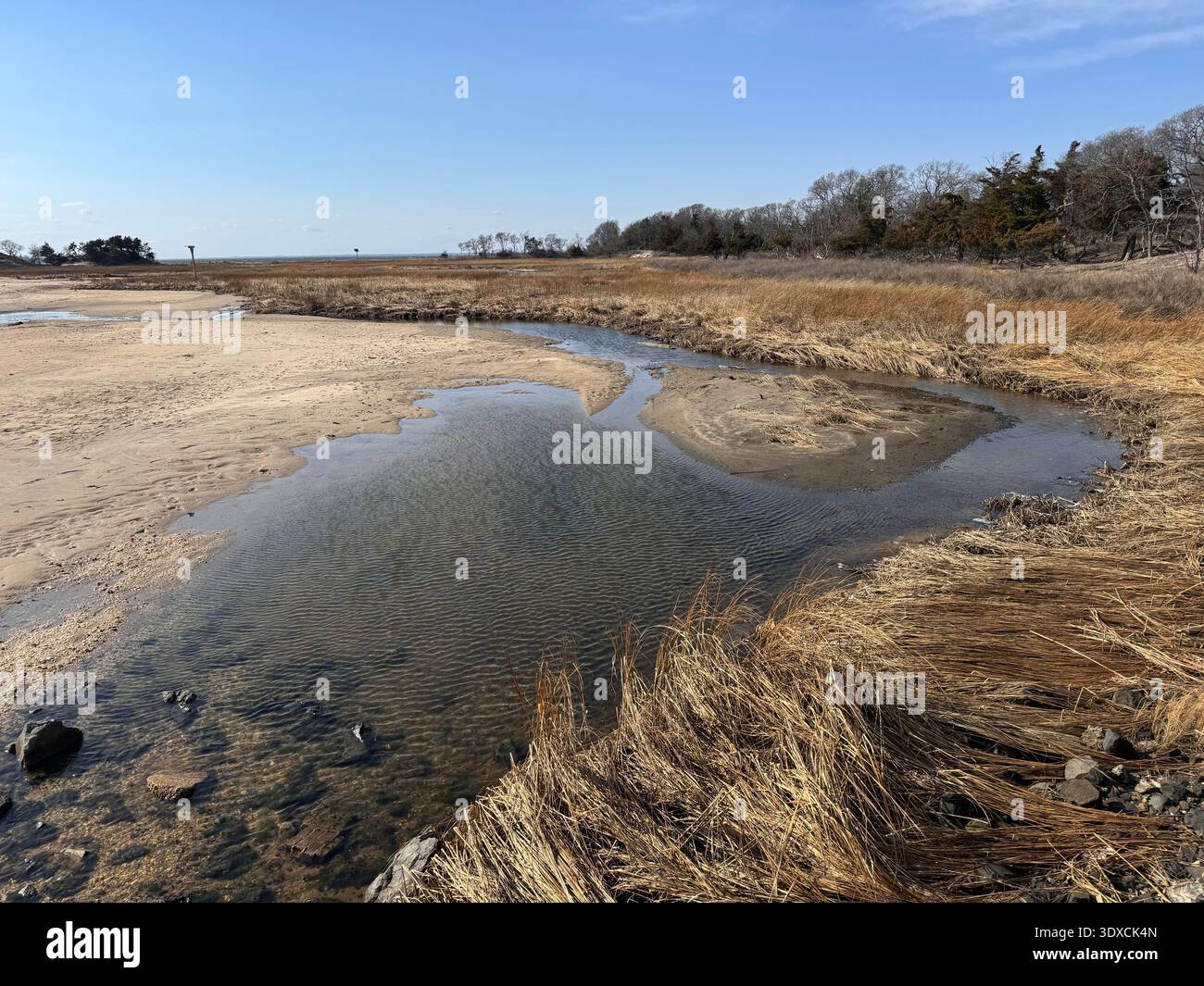 Tidal creek winding through salt marsh grasses at Sandy Hook beach in New Jersey under a clear blue sky. - Smartphone Captured Stock Image