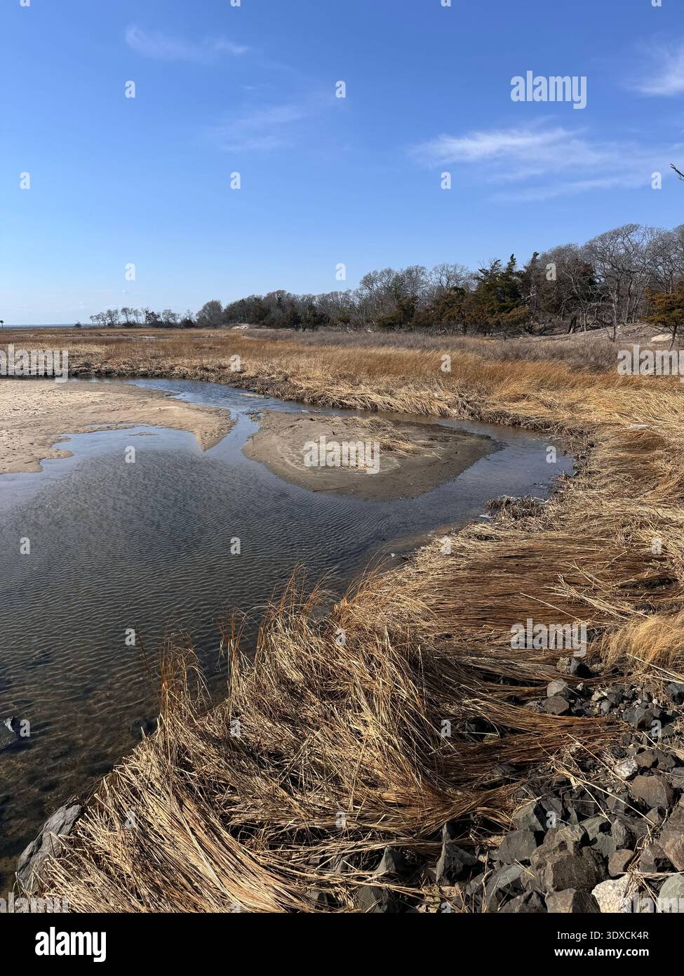 Tidal creek winding through salt marsh grasses at Sandy Hook beach in New Jersey under a clear blue sky. - Smartphone Captured Stock Image