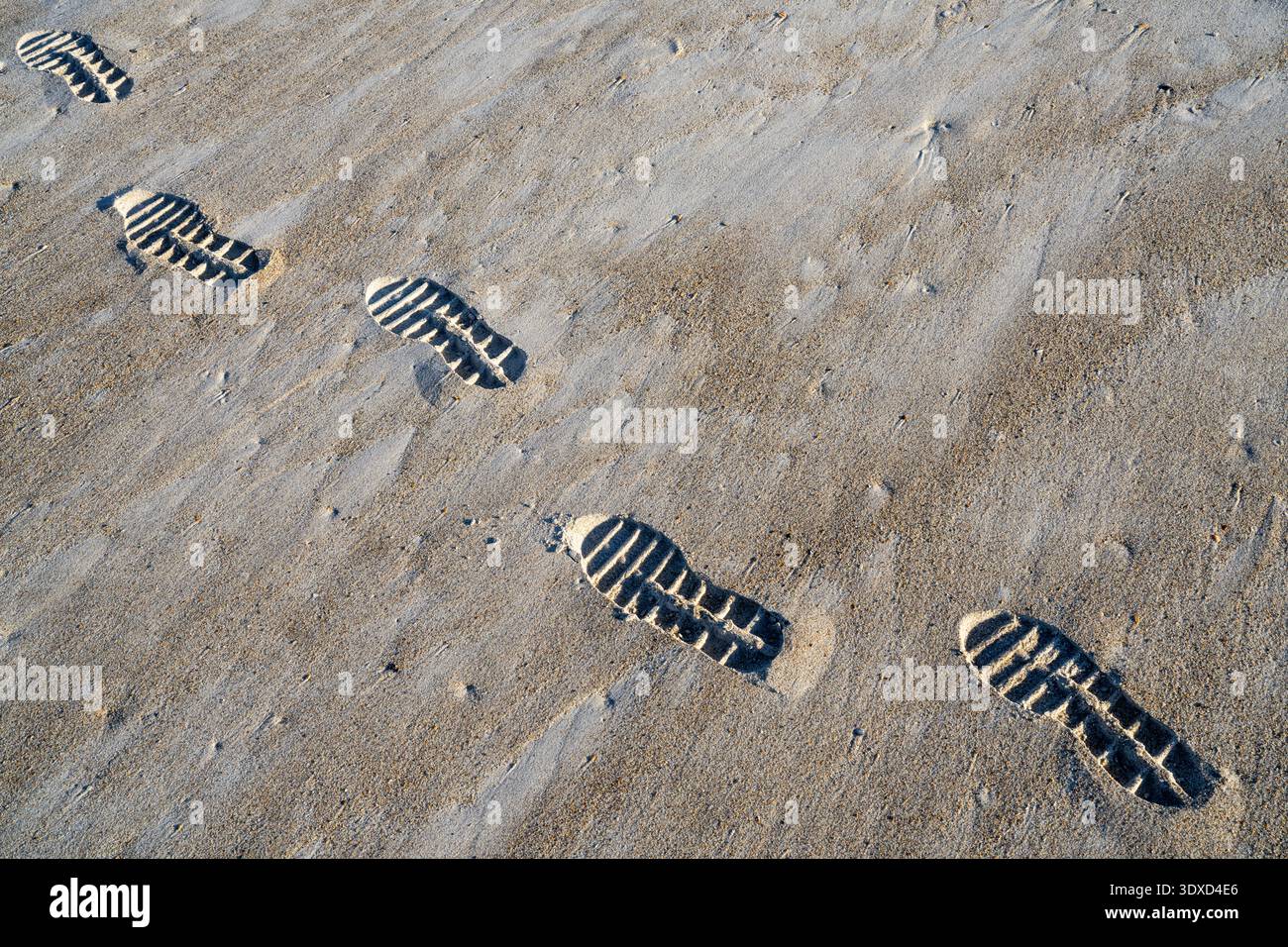 Shoe Prints in the Sand on the Beach on a Sunny Day Stock Photo