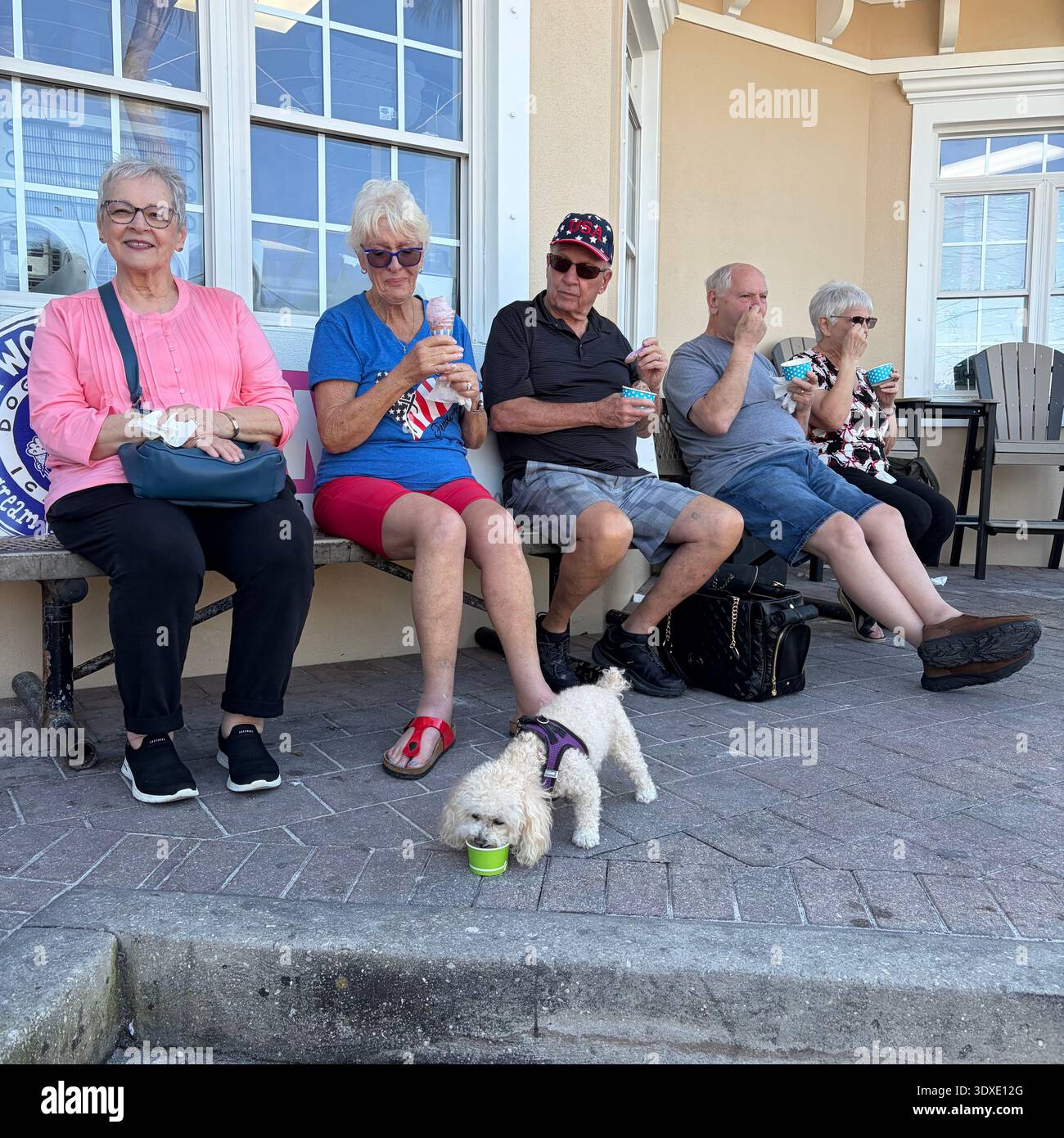 A dog eats ice cream out of a cup while 5 adults look on in Florida. - Smartphone Captured Stock Image