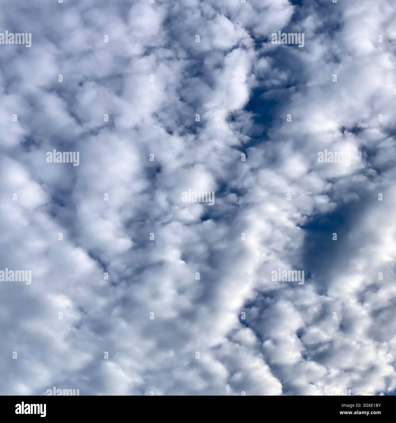A sky full of clouds. - Smartphone Captured Stock Image