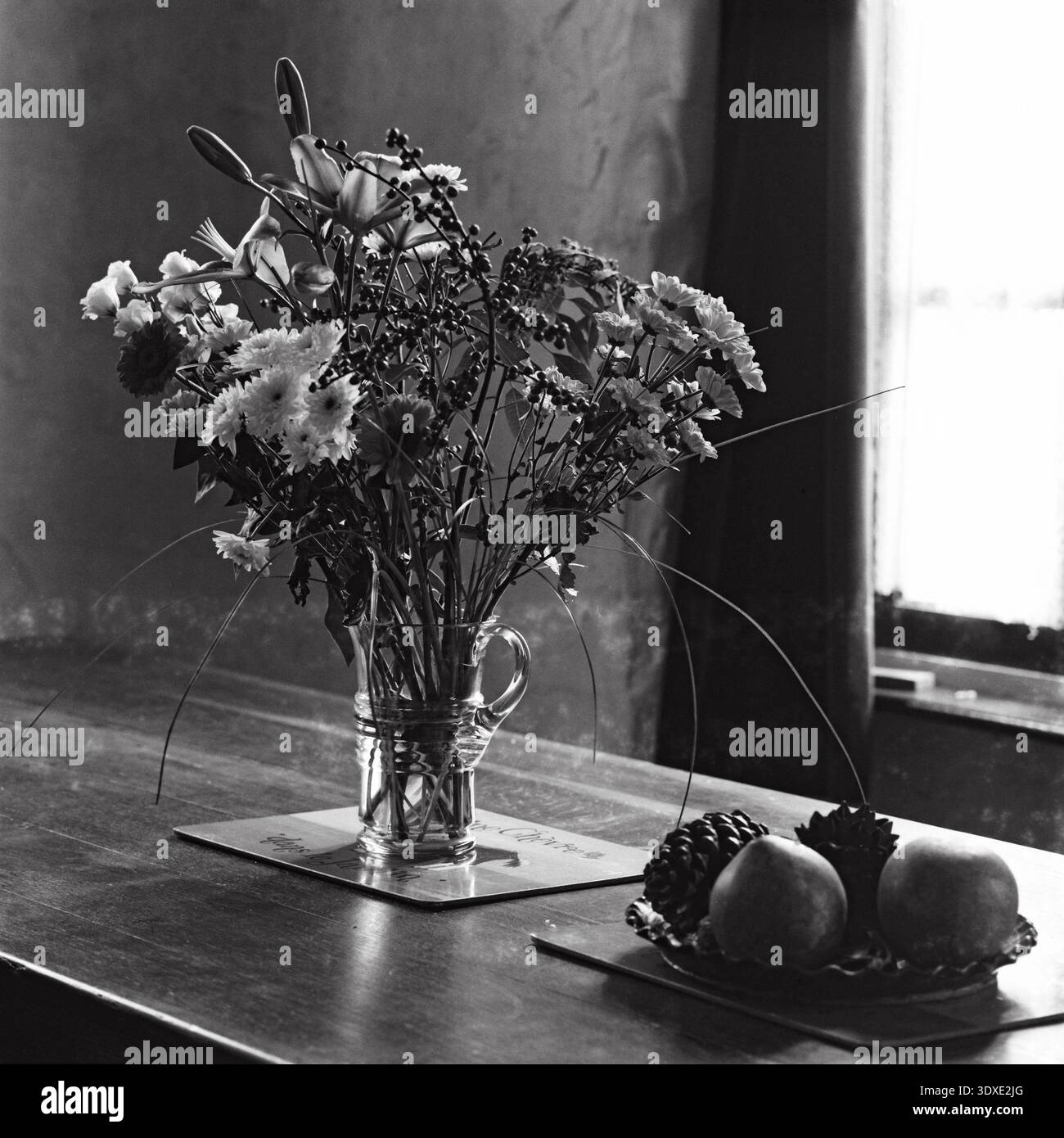 Classic black and white (monochrome) still life of flowers and pine cones, shot on Hasselblad medium format camera with film Stock Photo