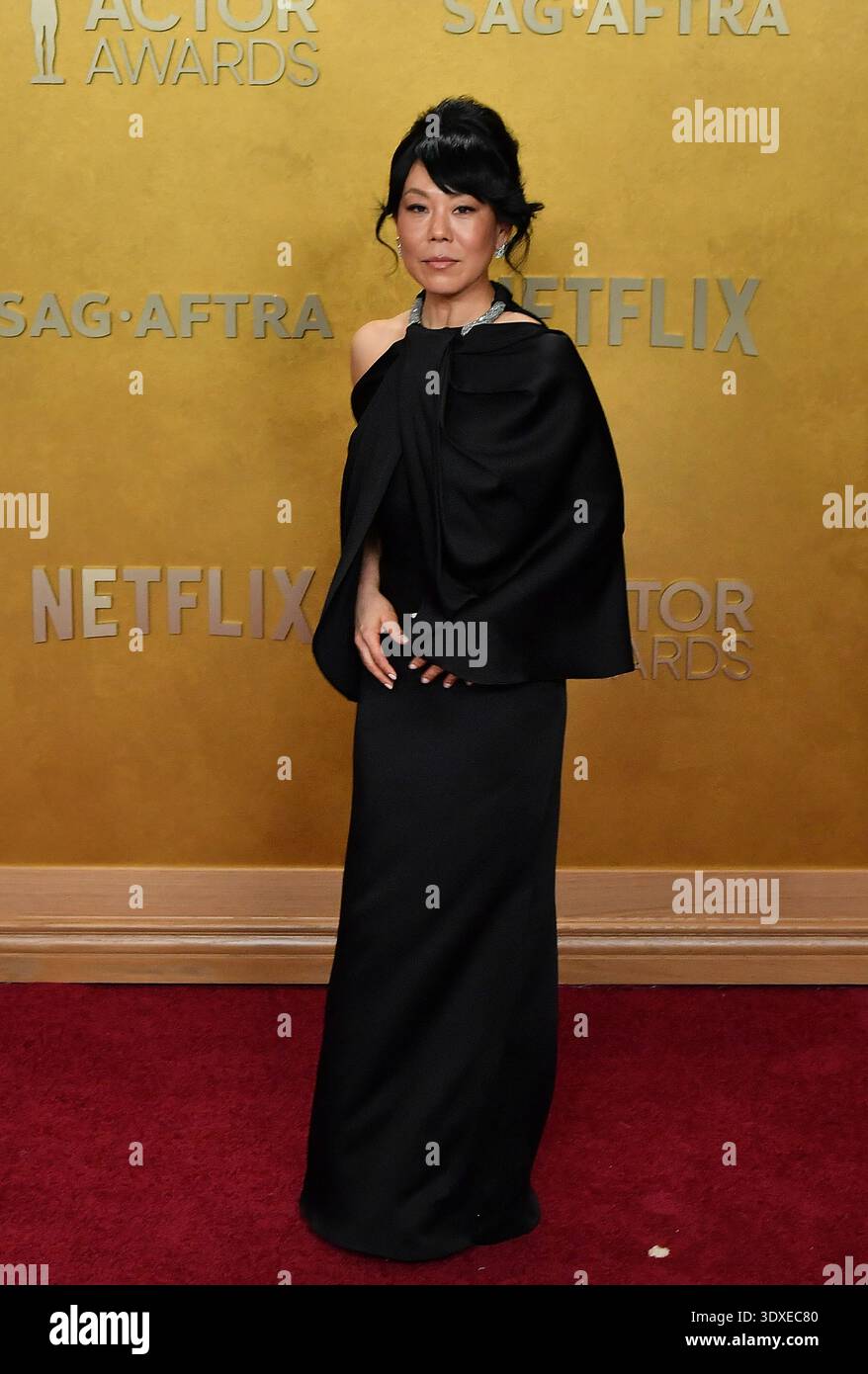 Ali Ahn attends the 32nd Annual Actor Awards at Shrine Auditorium and ...