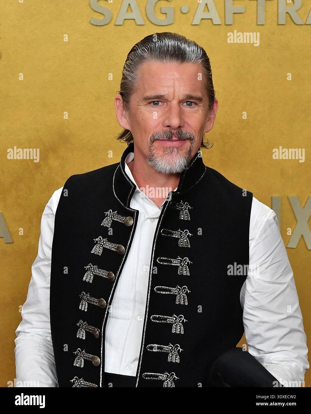 Hawk Actor Ethan Hawke attends the 32nd Annual Actor Awards at Shrine Auditorium ...