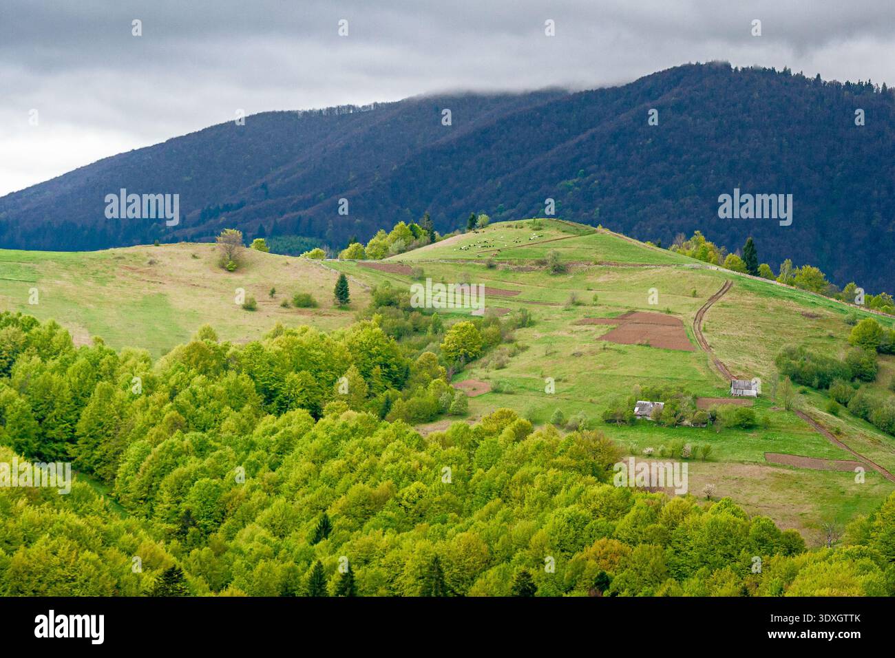 rural mountain landscape during spring. eastern european countryside scenery on a cold cloudy weather. overcast sky above rolling hills of wonderful t Stock Photo