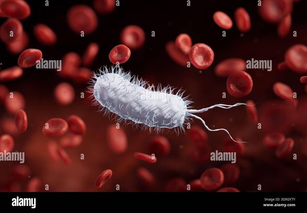 Microscopic biomedical bacteria and blood cells, 3d rendering Stock ...