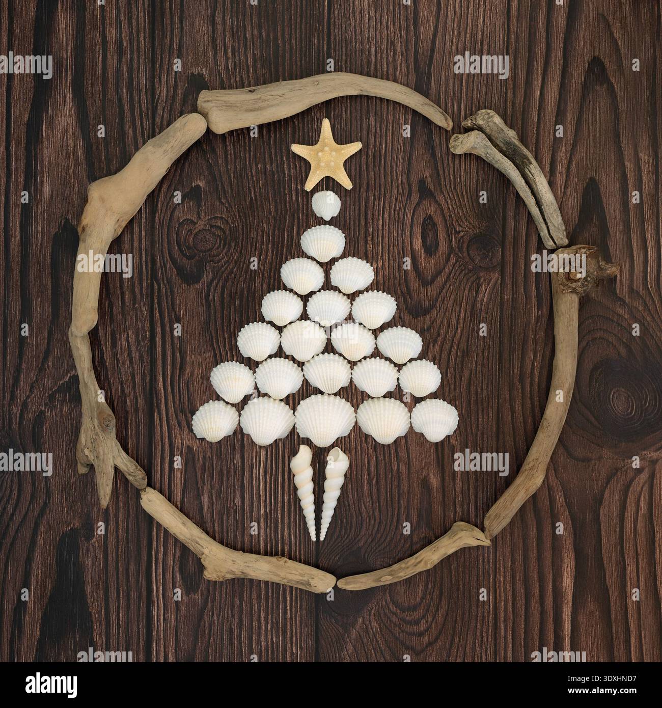 Seashell surreal abstract tree shape with cockle shells, starfish and ...