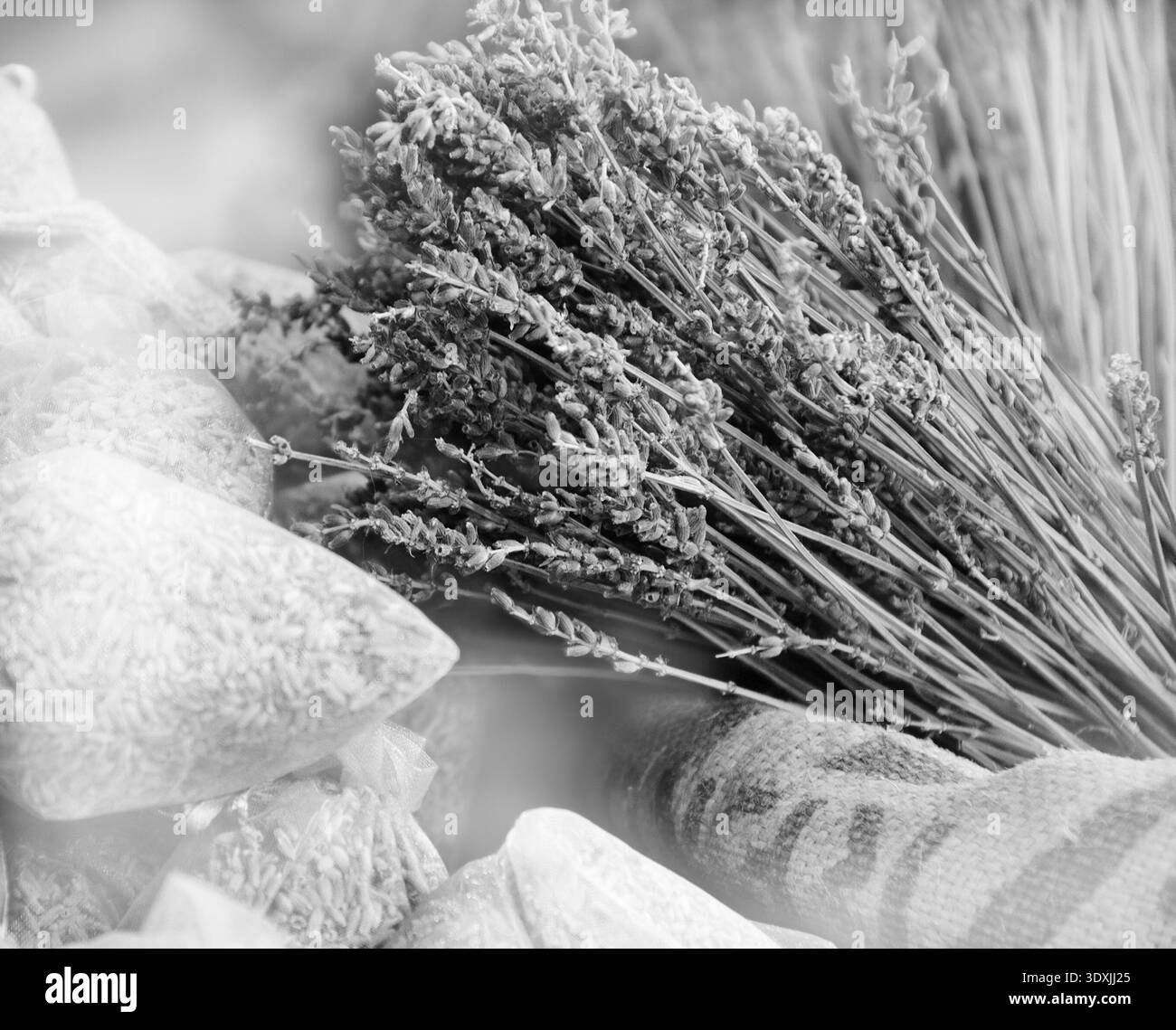 Dried lavender for sale in transparent  bags. Selective focus on dried flowers bunch over the rough  bag. Aged photo. Black and white. Stock Photo