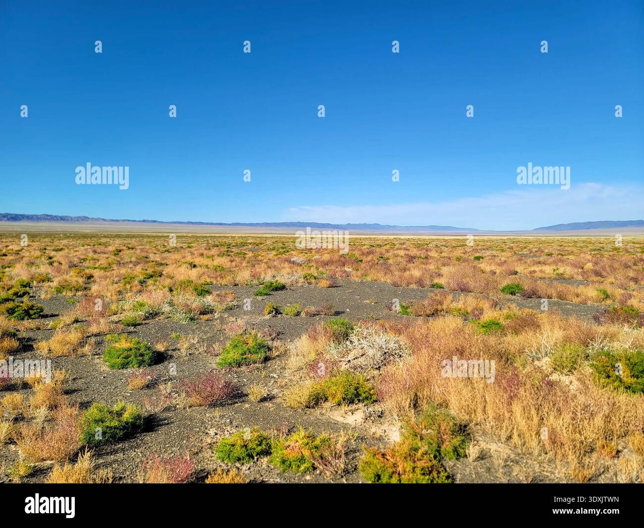 Mongolian steppes in Gobi desert, Mongolia Stock Photo - Alamy