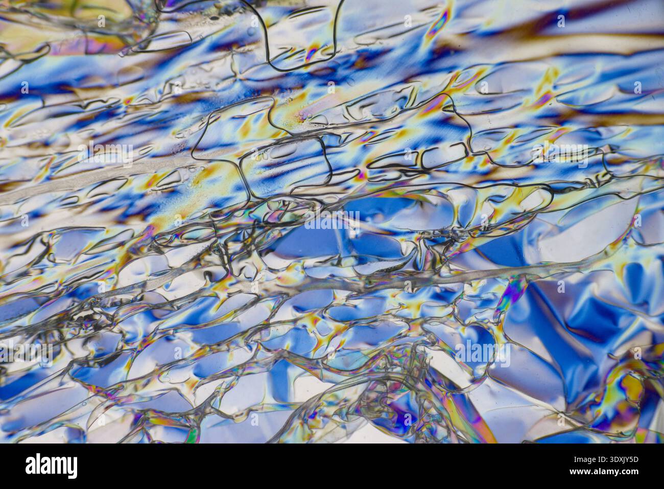 Abstract polarized light microscopy crystal interference patterns with iridescent cell textures. Stock Photo