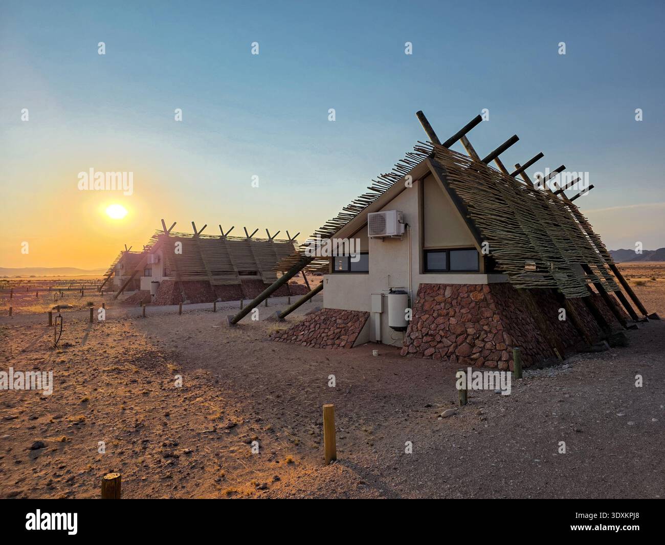 Desert quiver camp hi-res stock photography and images - Alamy