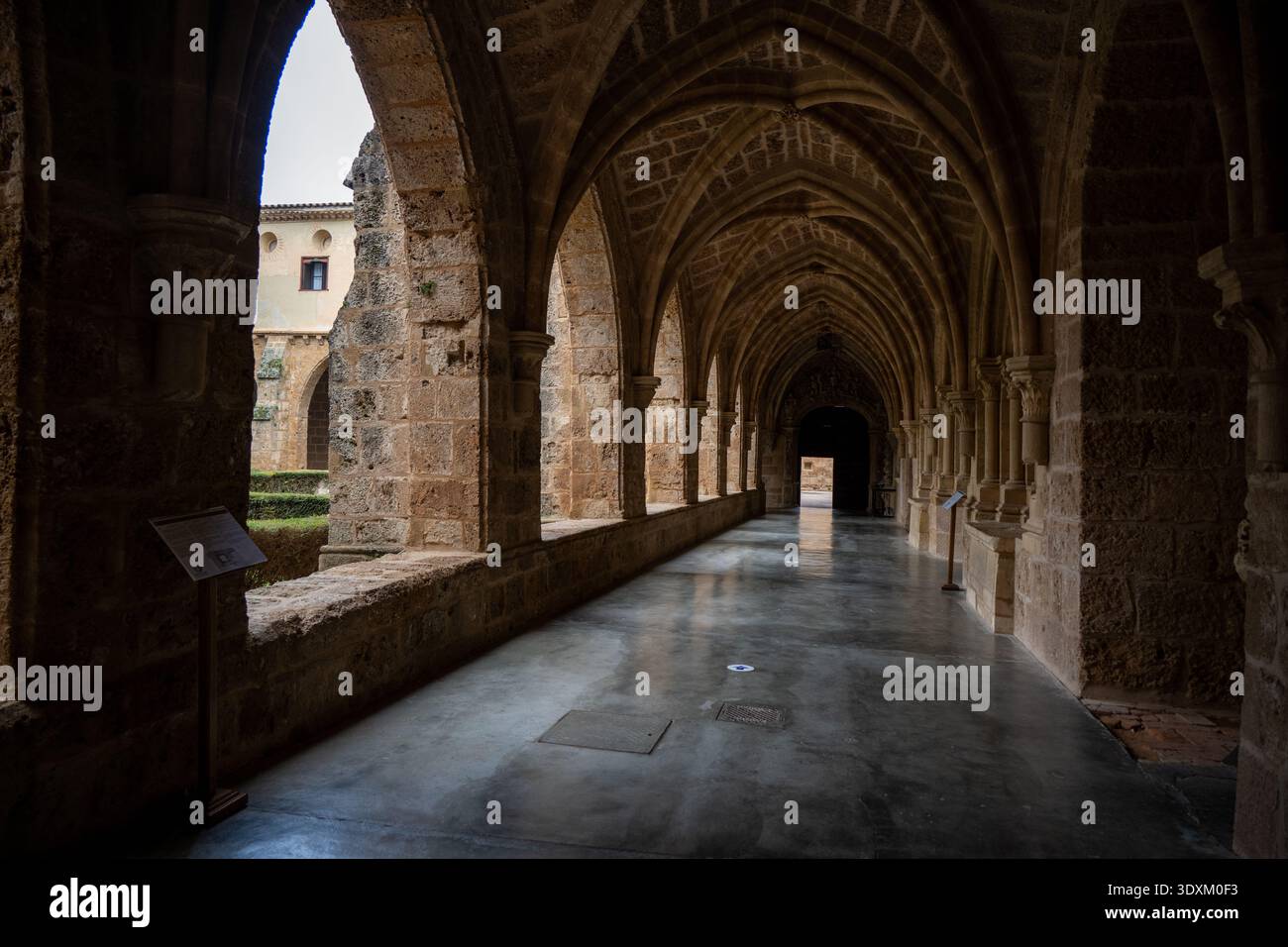 Stone Gothic cloister corridor with pointed arches and ribbed vaulting ...