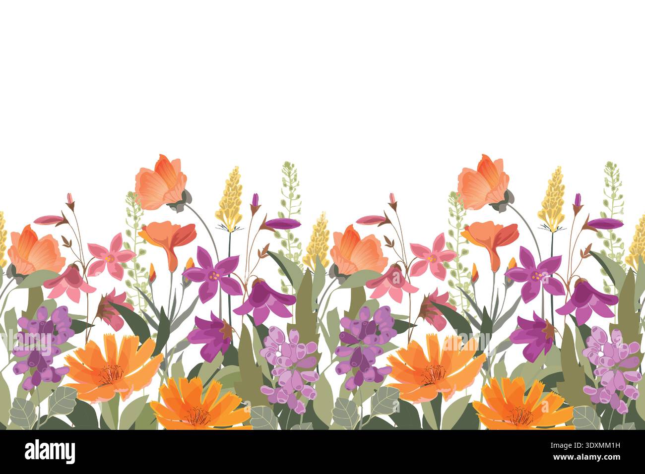 Vector floral seamless pattern, border. Pink, orange, purple flowers Stock Vector