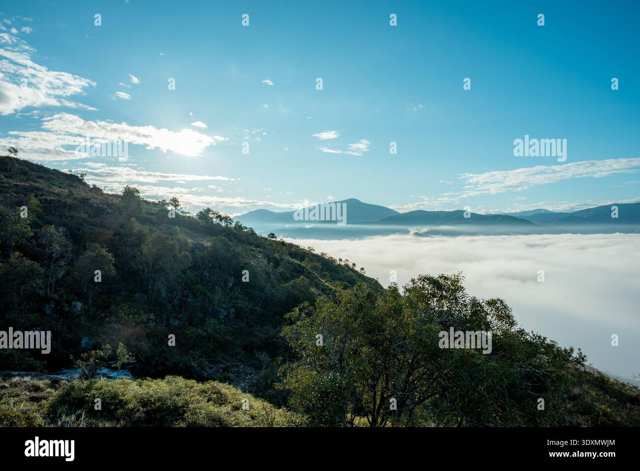 Verdant mountain peaks bathed hi-res stock photography and images - Alamy