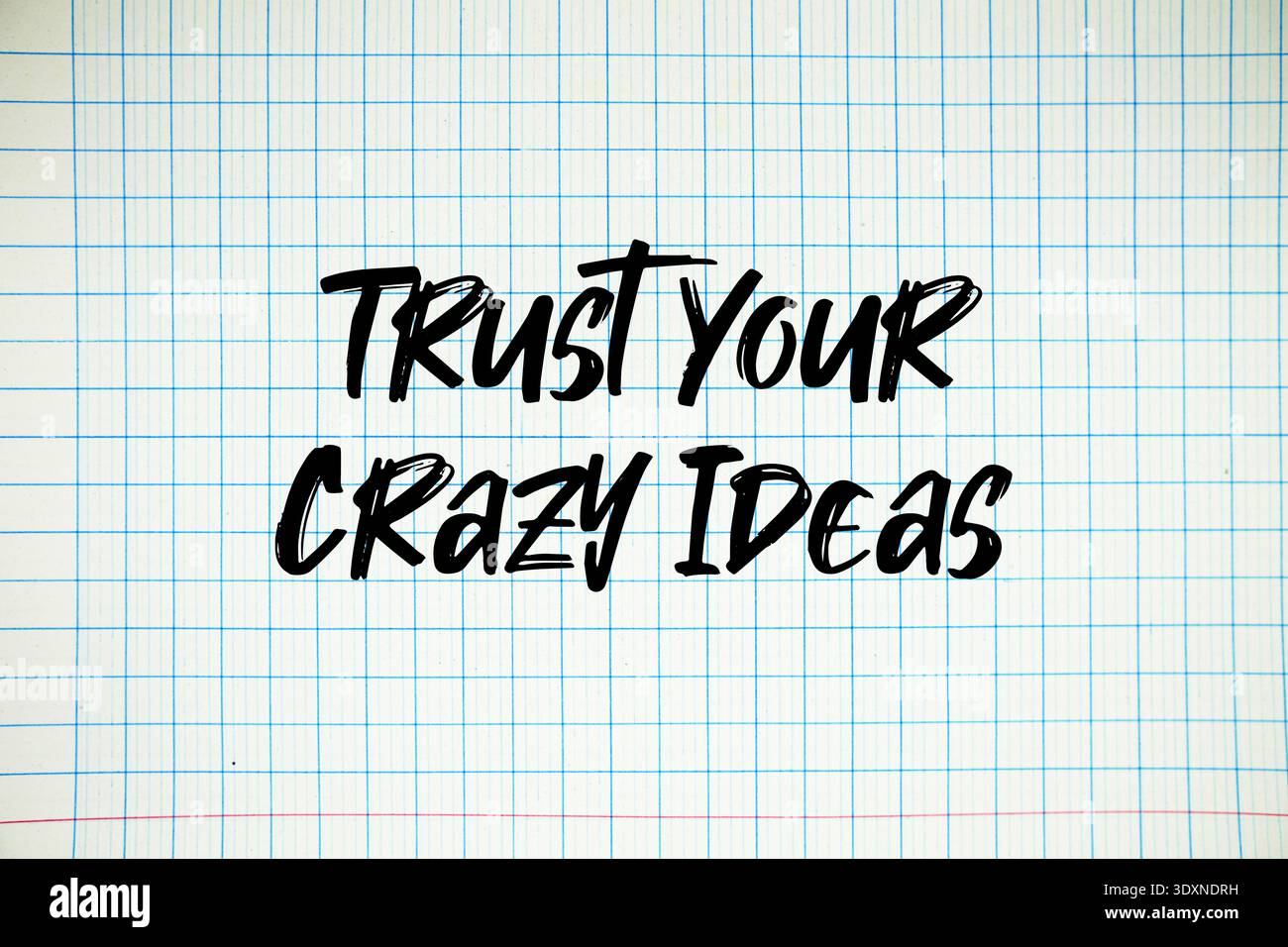 Trust Your Crazy Ideas text written on white notebook sheet with grid Stock Photo