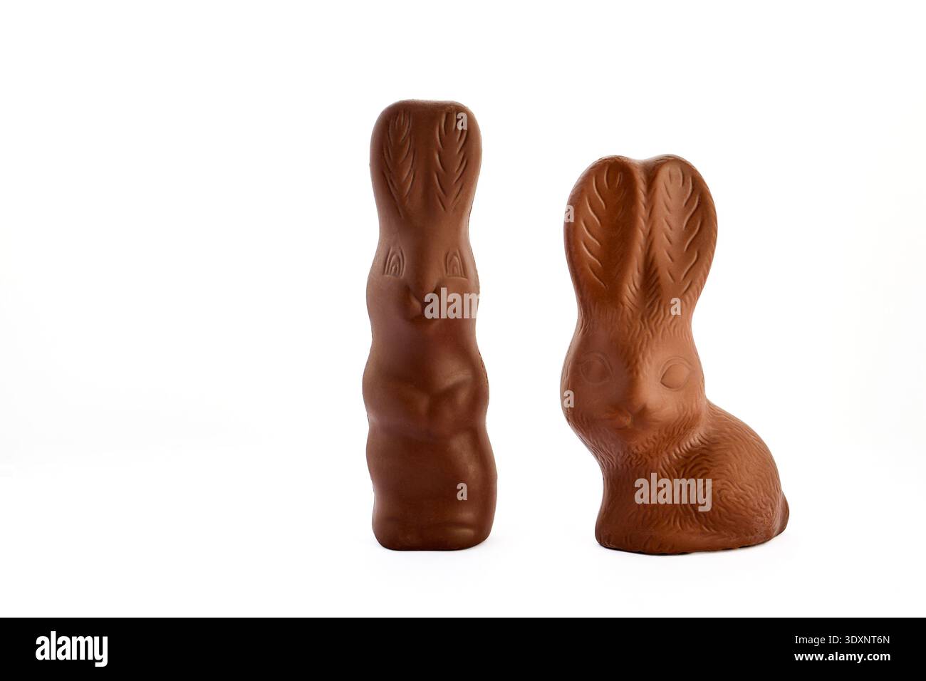 Two chocolate bunnies standing on white background for easter Stock Photo