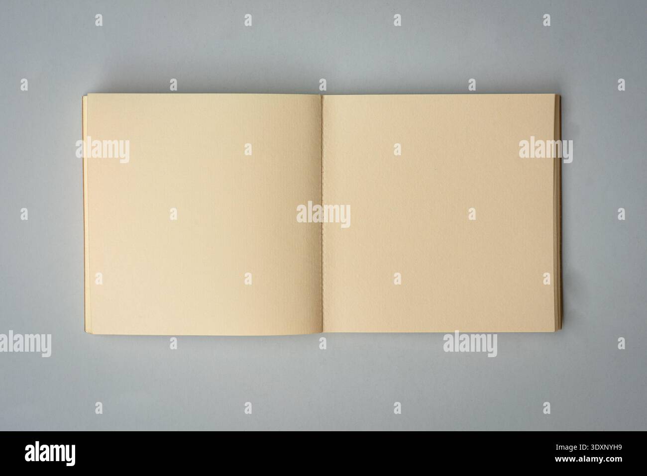 One open notepad isolated on white, top view. Space for text. Stock Photo
