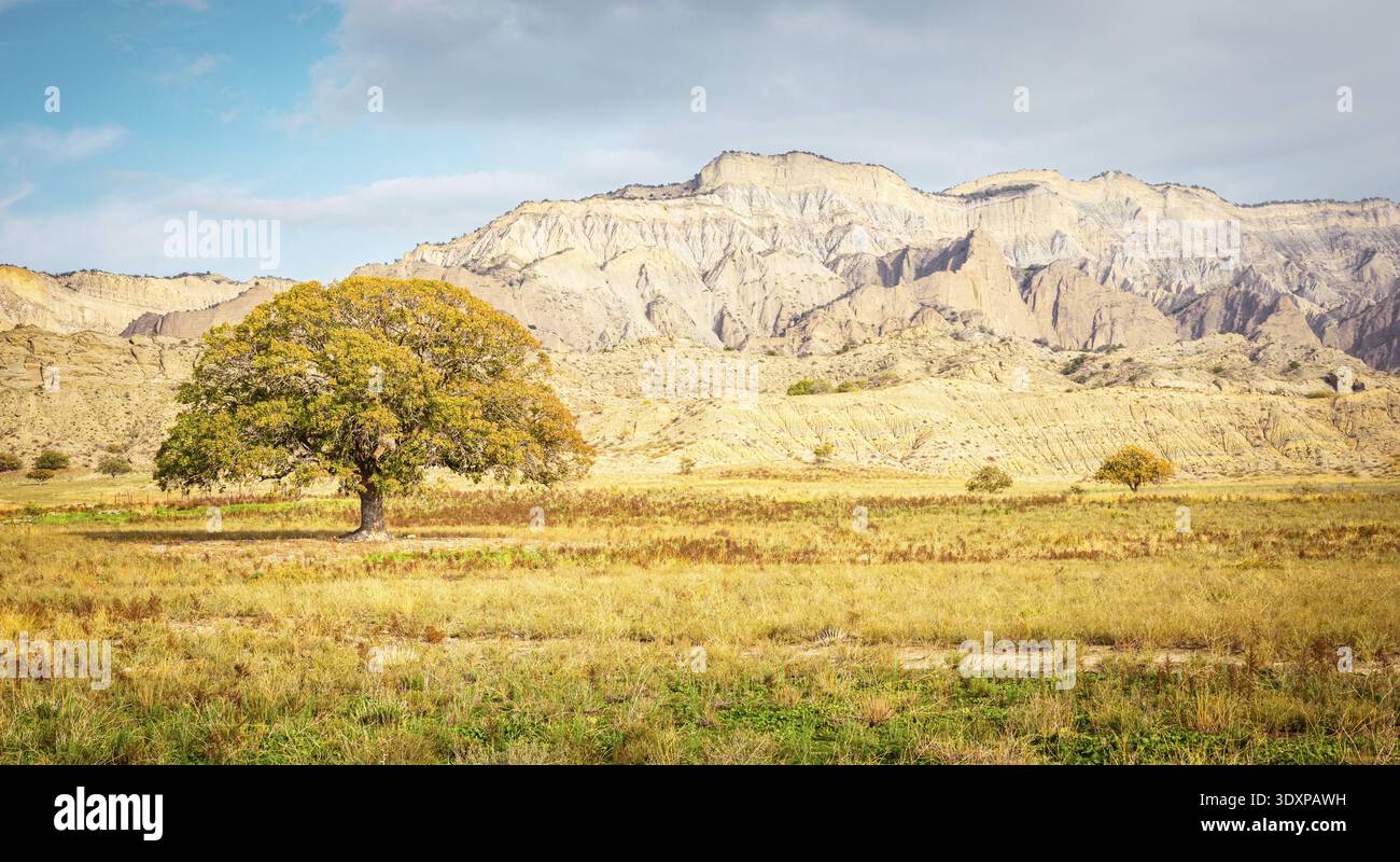 Iconic tree in autumn colors with stunning rock formations in background.VAshlovani national park Stock Photo