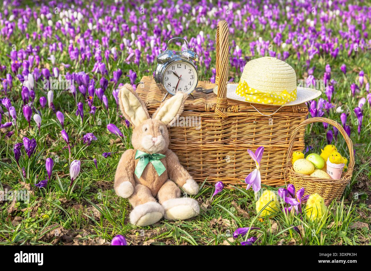 Easter time when the  clocks go forward in Springtime with an Easter Bunny, colourful eggs, chicks and Easter bonnet on a traditional wicker picnic ba Stock Photo