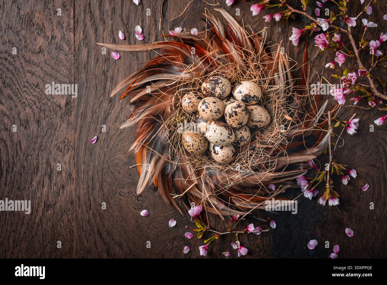 Rustic Easter Eggs in Nest on Dark Background Stock Photo