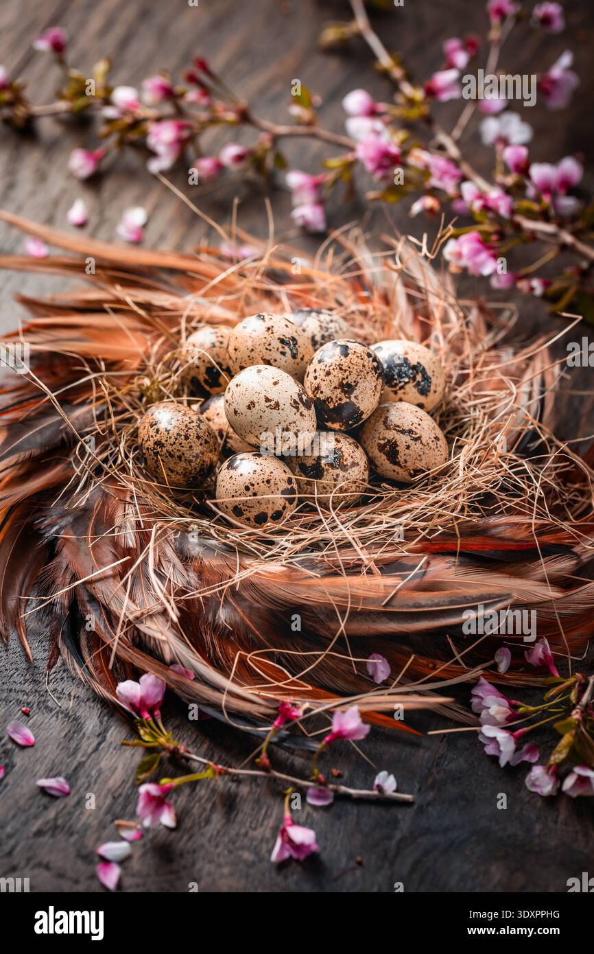 Rustic Easter Eggs in Nest on Dark Background Stock Photo