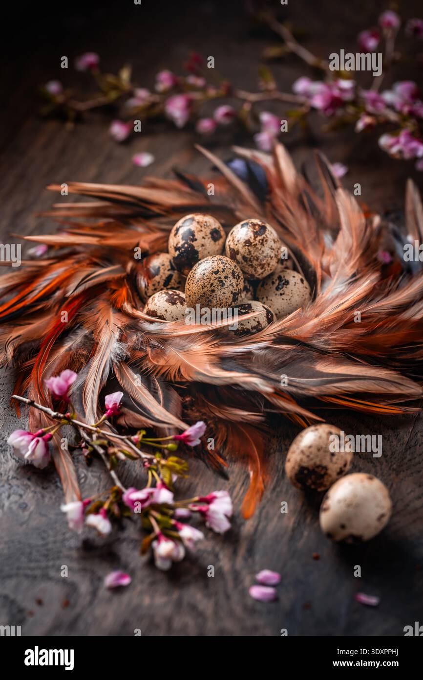 Rustic Easter Eggs in Nest on Dark Background Stock Photo