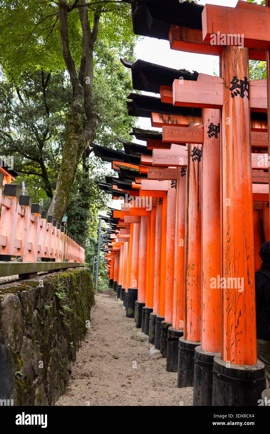 Fushimi Inari Taisha Torii Path. Repeated red columns and stone steps ...