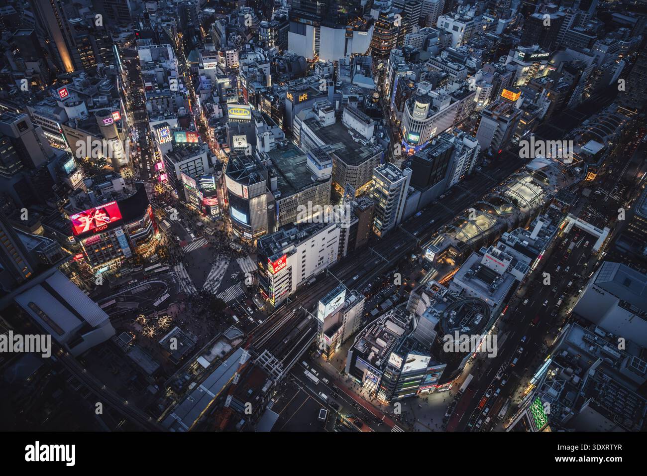 High-angle aerial view of Shibuya Crossing at night, Tokyo, Japan Stock ...