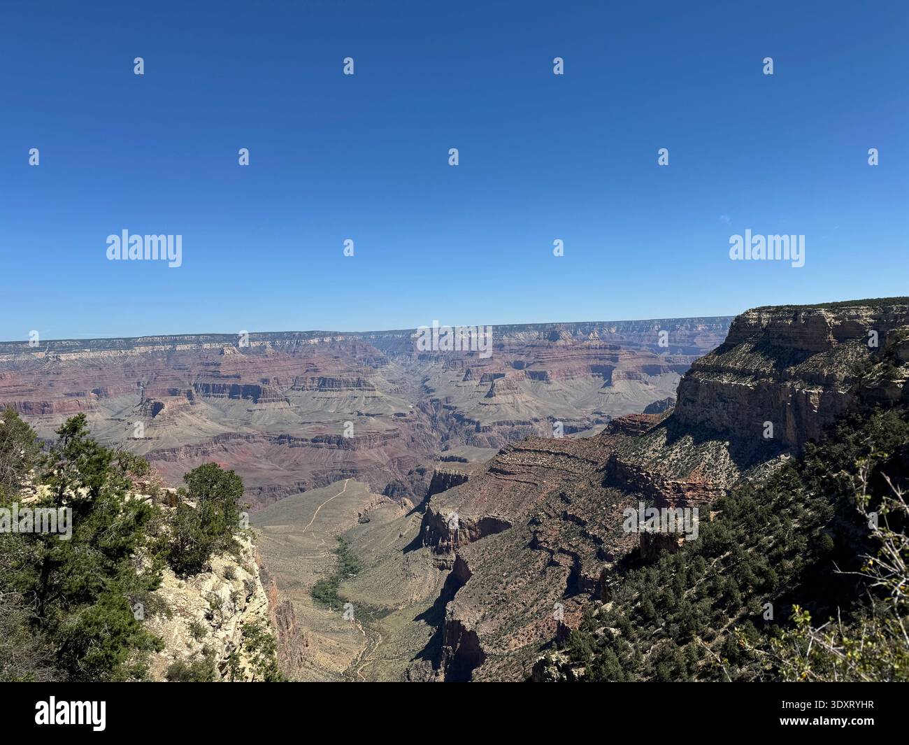 View of the Grand Canyon with layered rock formations and rugged cliffs framed by trees along the canyon rim, Arizona, USA. - Smartphone Captured Stock Image