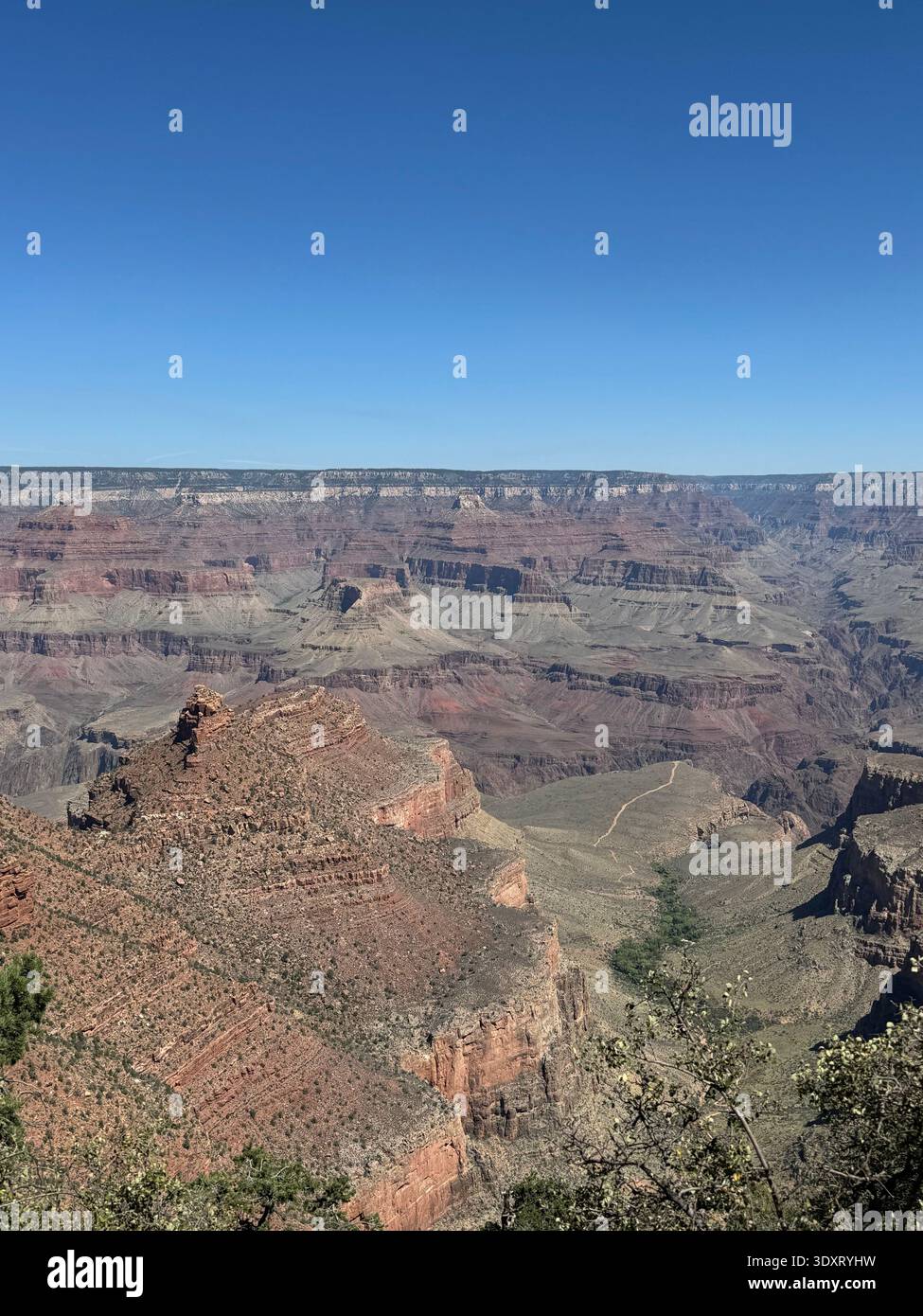 View of the Grand Canyon with layered rock formations and rugged cliffs framed by trees along the canyon rim, Arizona, USA. - Smartphone Captured Stock Image