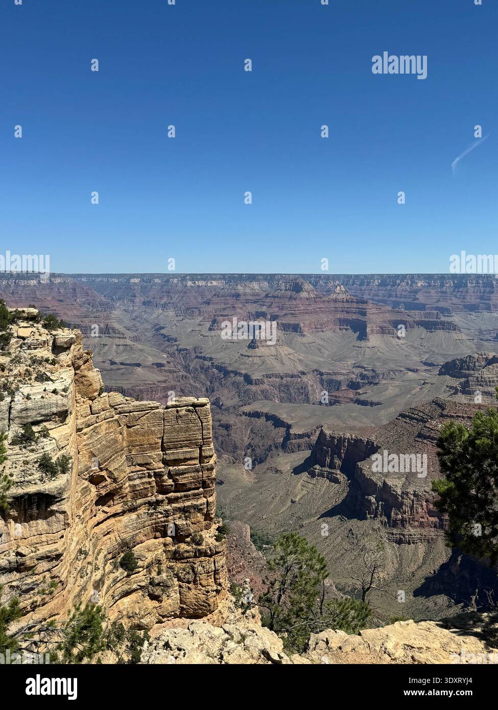 View of the Grand Canyon with layered rock formations and rugged cliffs framed by trees along the canyon rim, Arizona, USA. - Smartphone Captured Stock Image