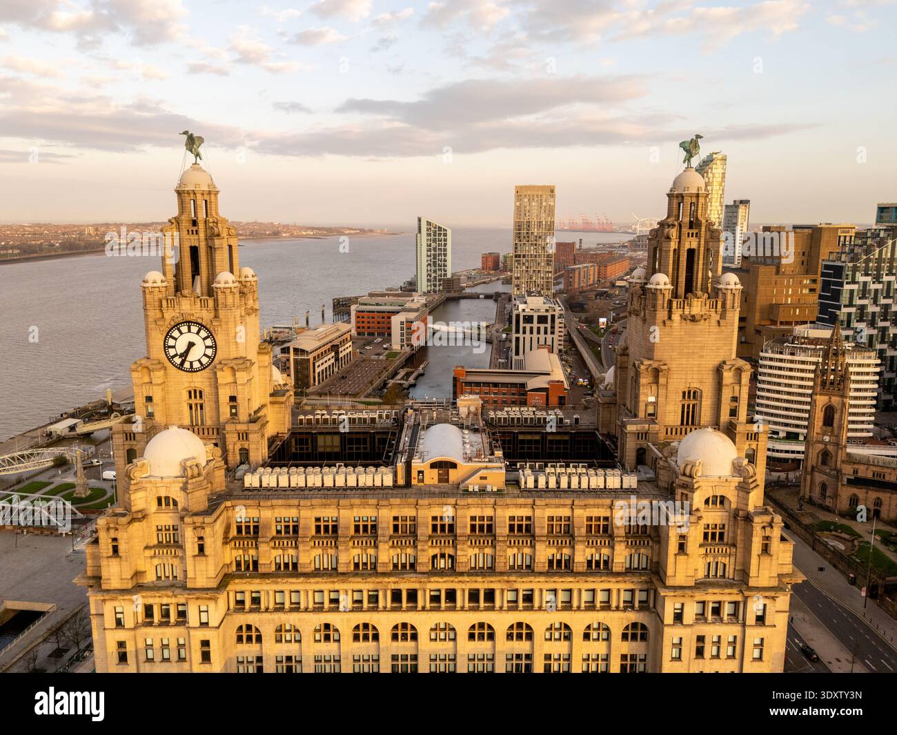 Detailed drone view of the Royal Liver Building roof and iconic Liver ...