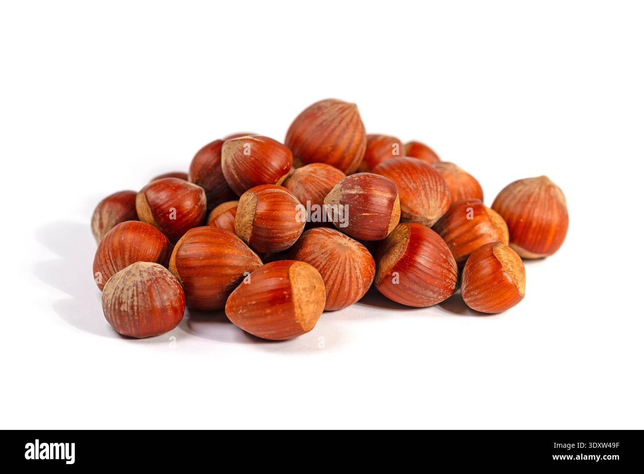 Hazelnuts isolated on white background Stock Photo