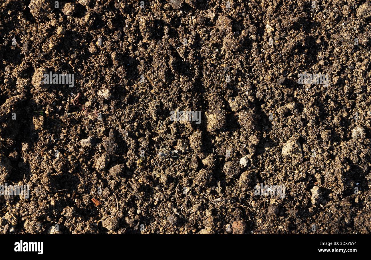 Dark brown organic soil texture background, natural earth topsoil close-up Stock Photo