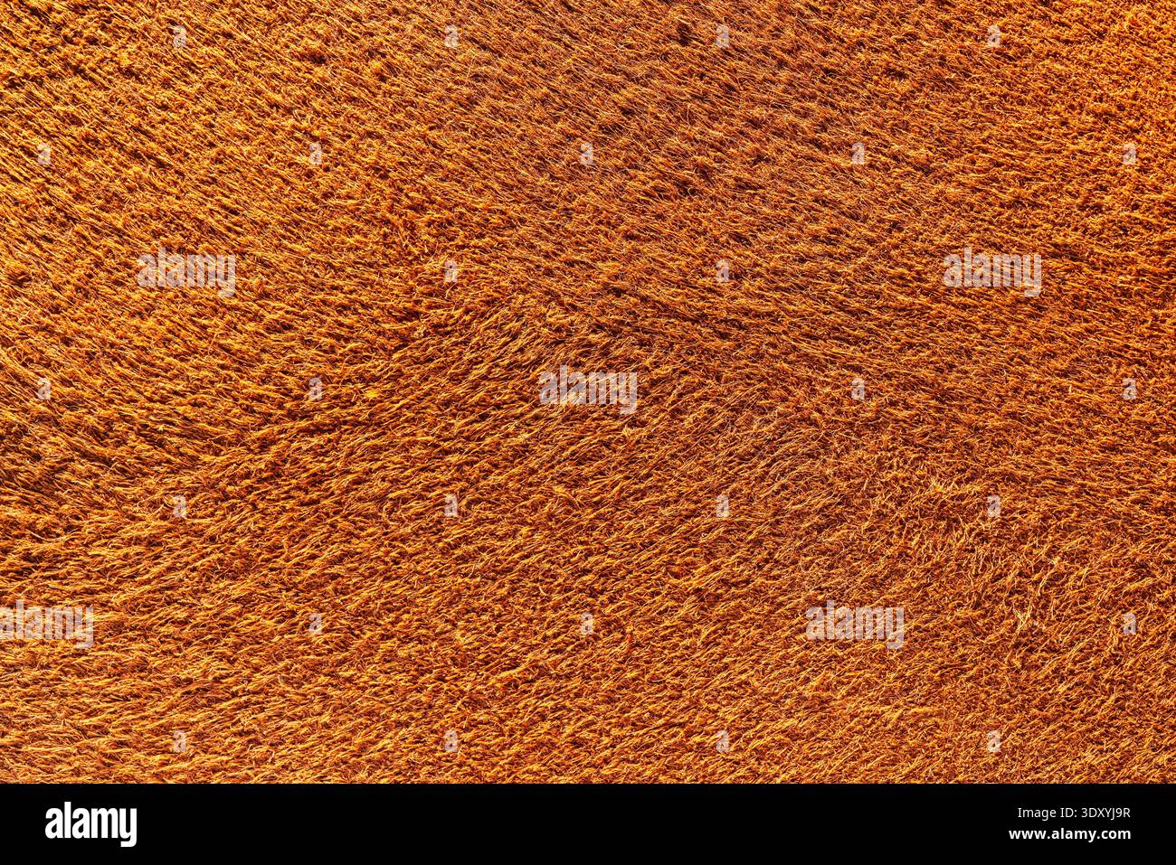 brown suede texture closeup detailed background Stock Photo
