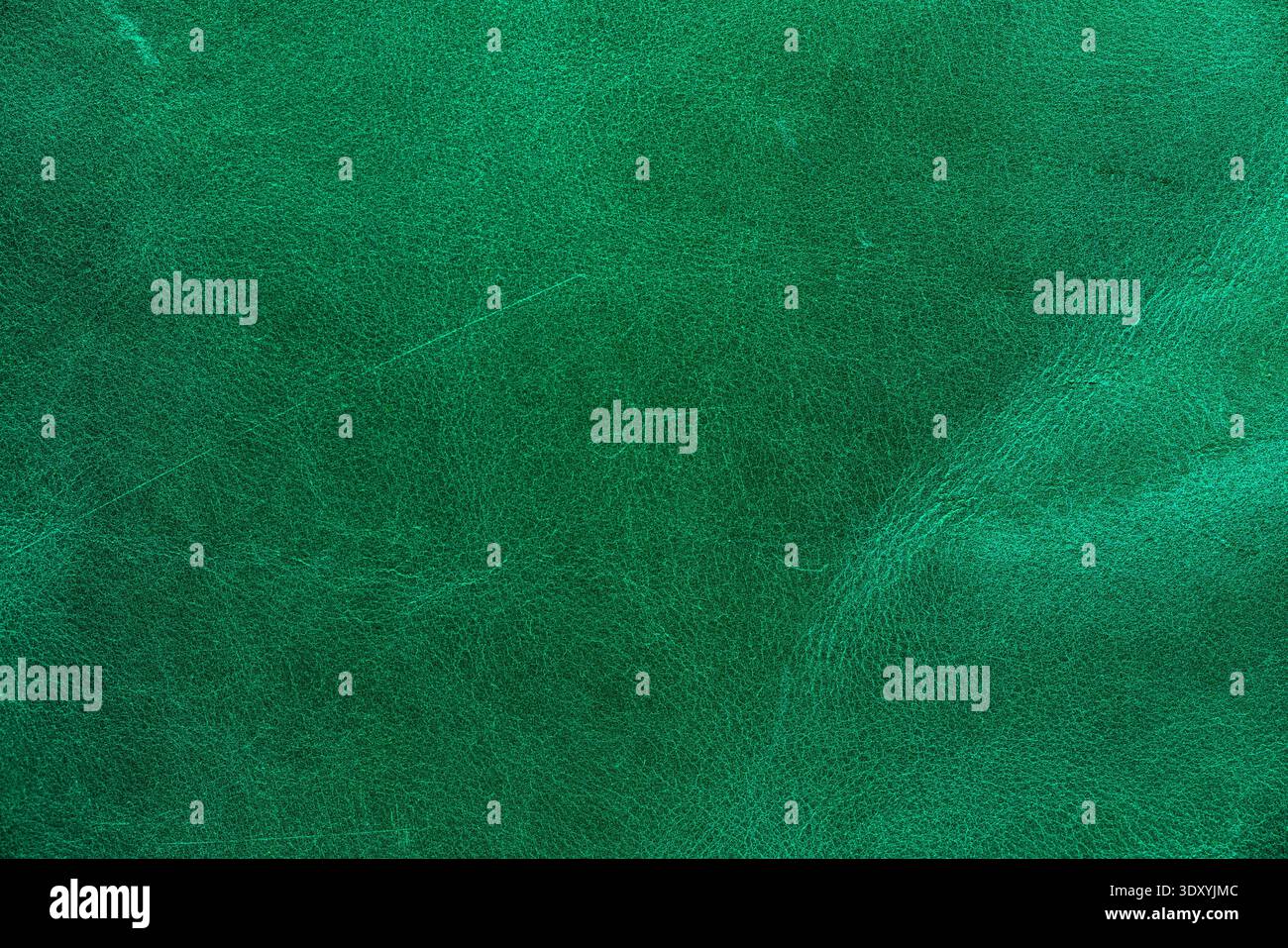 green leather texture closeup detailed background Stock Photo