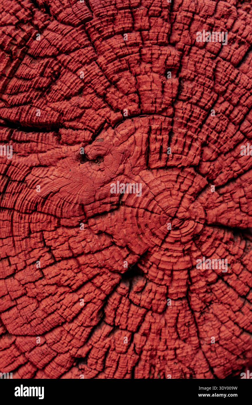 Cracked Red Painted Wood Texture Background. Stock Photo