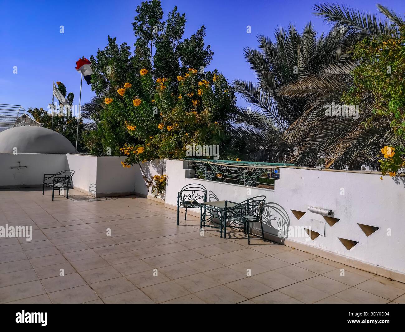 Roof terrace with palm tops and Campsis radicans F. Flava flowering shrubs around in Sharm El Sheikh (Egypt). Outdoor recreation area with metal table - Smartphone Captured Stock Image