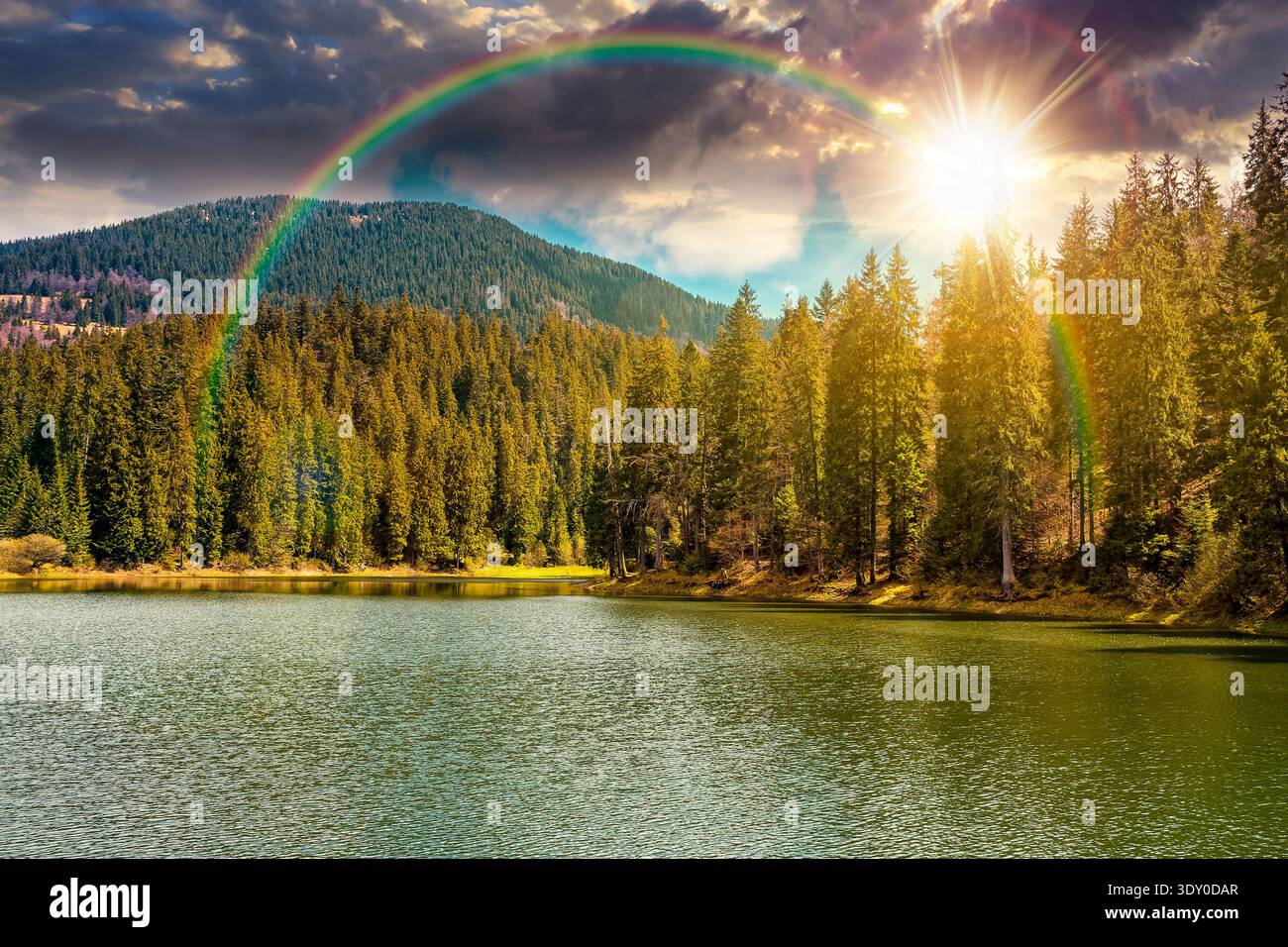 sunset over mountain lake among the green spruce forest in beautiful spring landscape. rippled water surface. scenic alpine nature scenery with rainbo Stock Photo