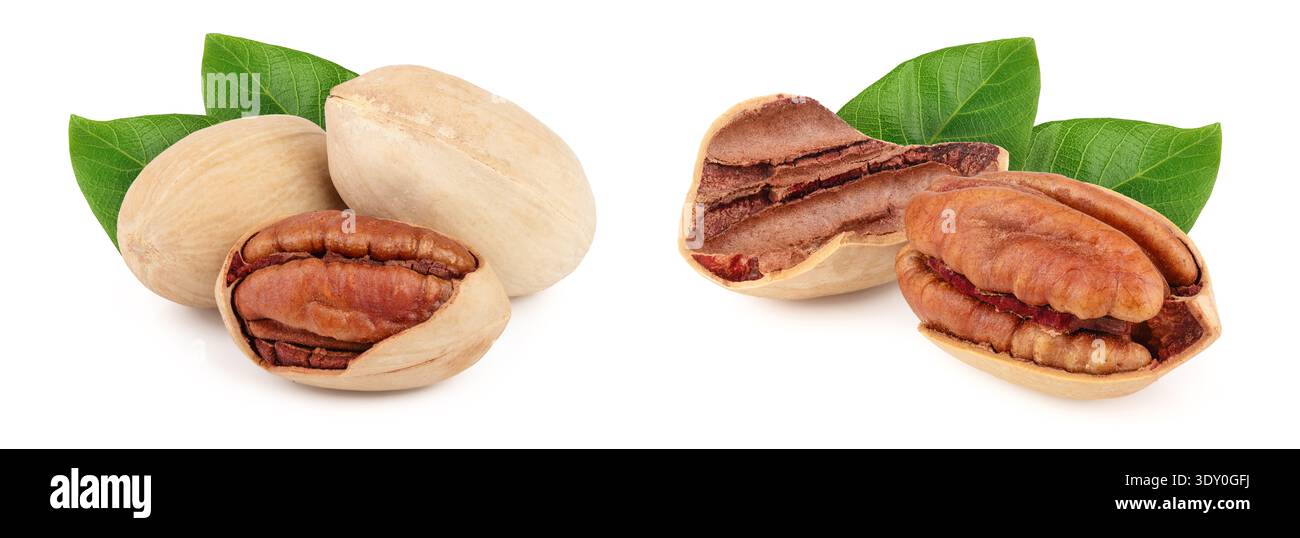 Three pecan nuts isolated on white background Stock Photo