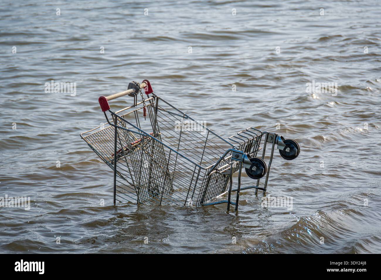 Supermarket shopping cart discarded into the water. Concepts of economic crisis, inflation, poverty, recession, and declining purchasing power Stock Photo