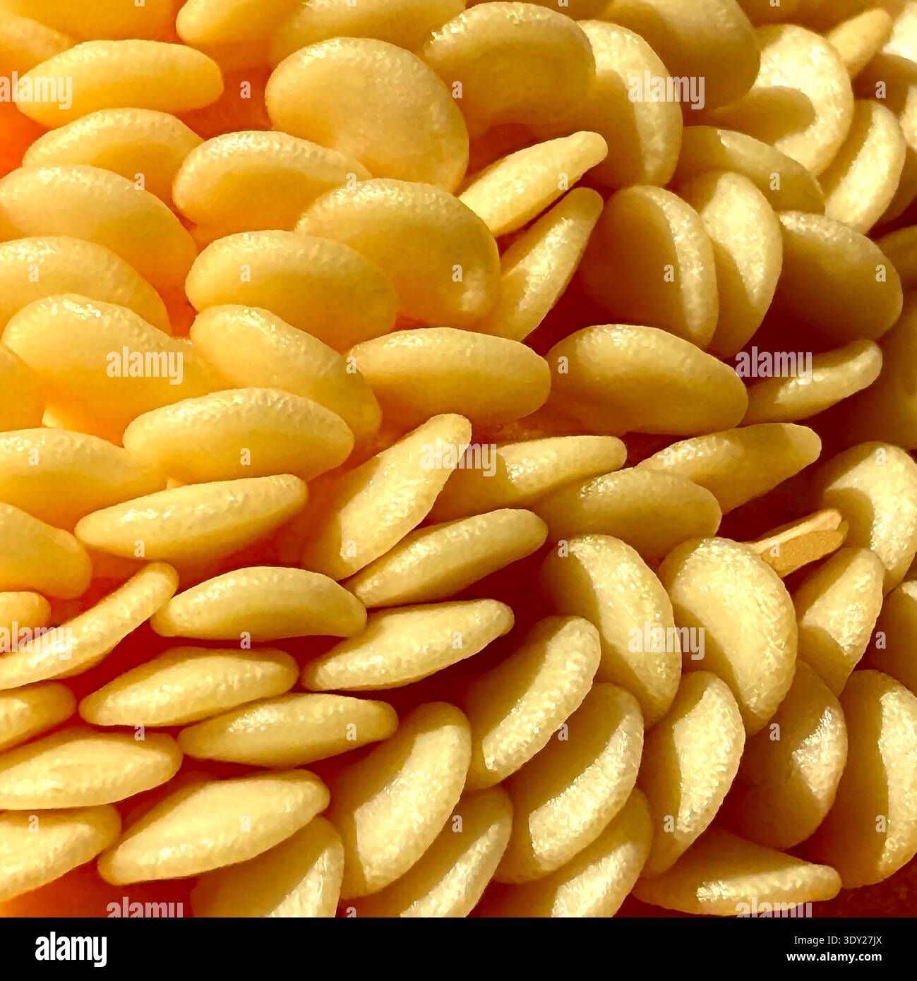 Extreme close up view of the seeds of a honeydew melon. Backgrounds. Food concept. - Smartphone Captured Stock Image