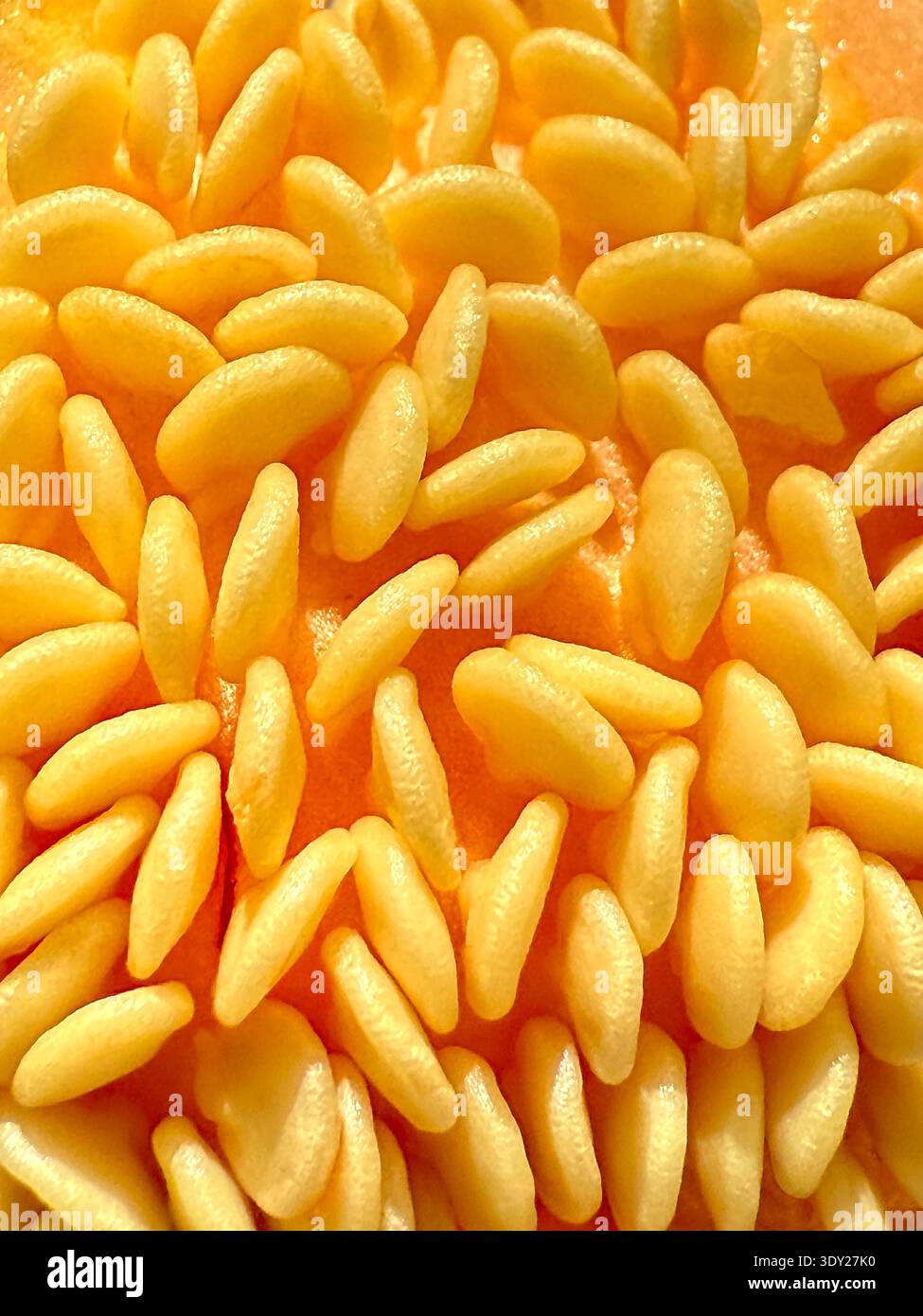 Extreme close up view of the seeds of a honeydew melon. Backgrounds. Food concept. - Smartphone Captured Stock Image