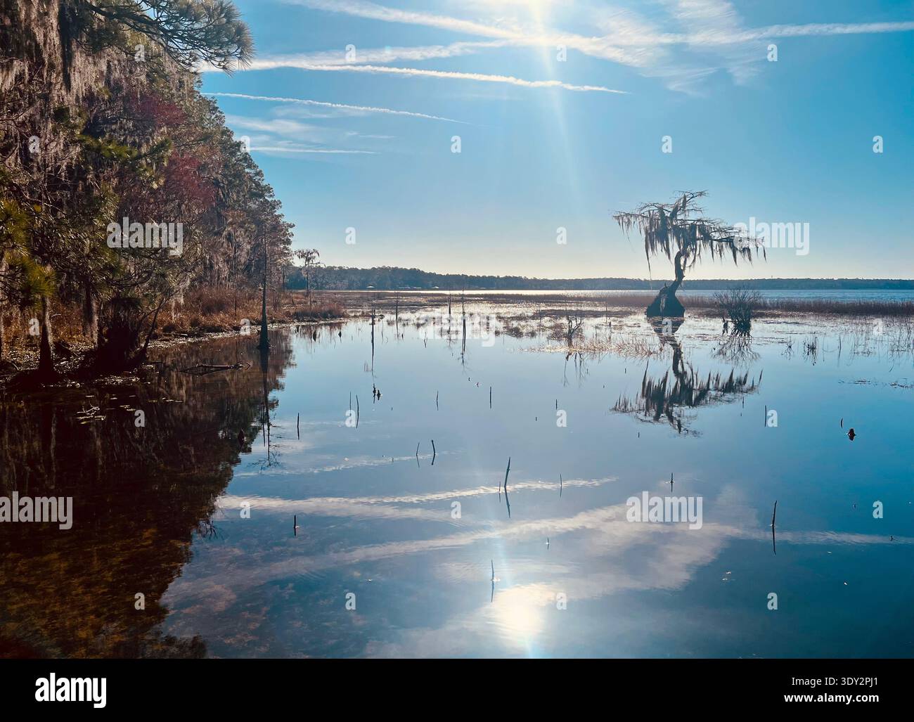 Ocean Pond, Sanderson, Florida. A state campground borders the lake. - Smartphone Captured Stock Image